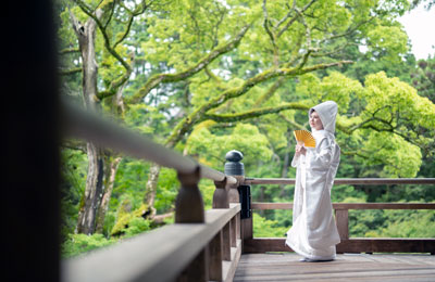摩尼殿舞台から緑を眺めて