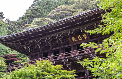 摩尼殿と自然豊かな木々