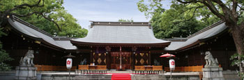 写真：白鷺宮護國神社